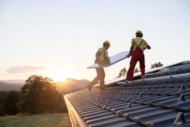 Best Roof Coating and Sealing  in Laingsburg, MI