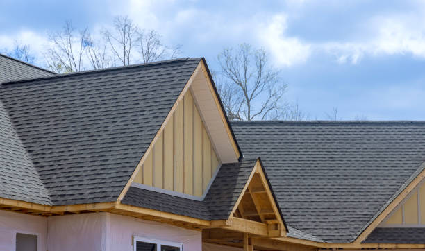 Best Roof Ventilation Installation  in Laingsburg, MI
